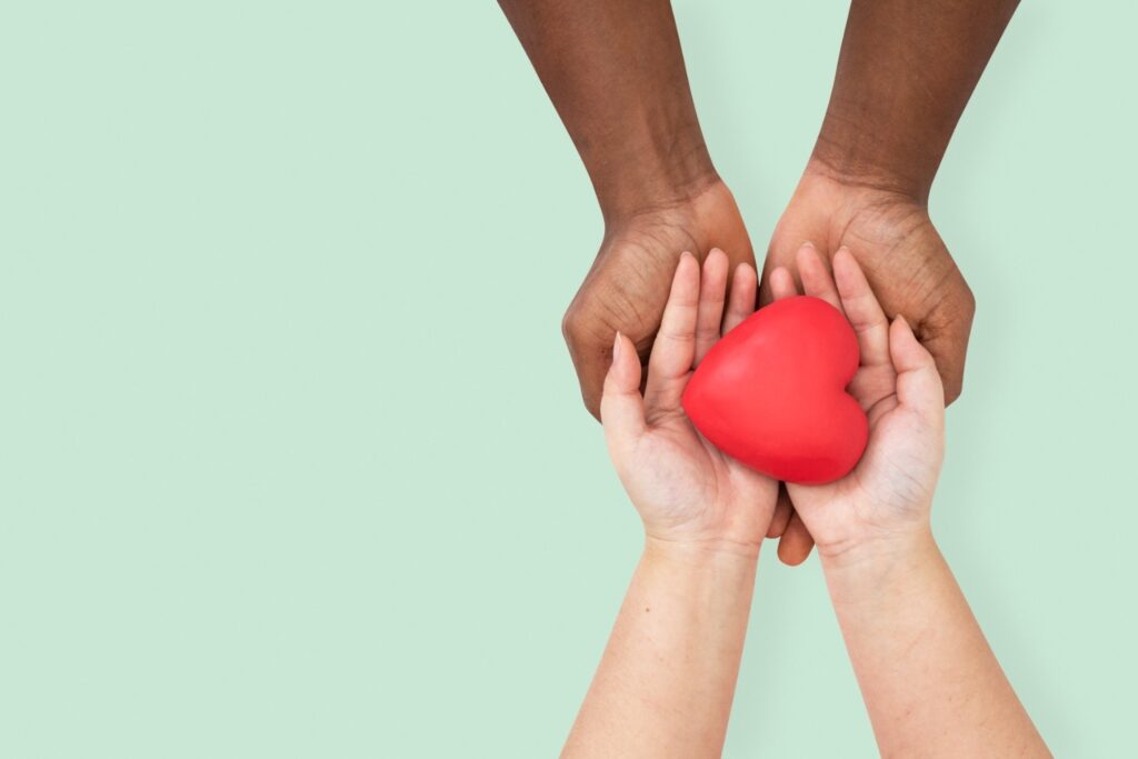 egg donor